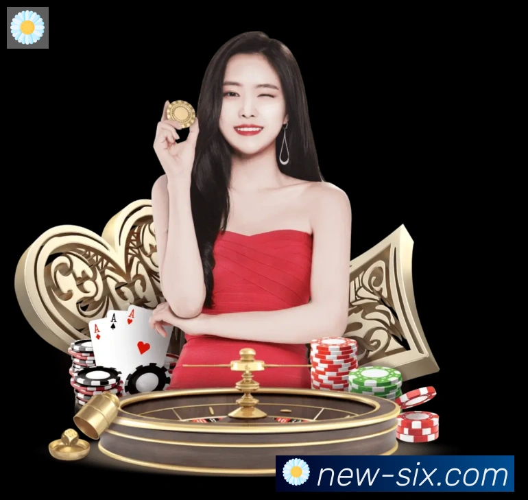 6t体育品牌故事